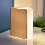 Wooden Book Light